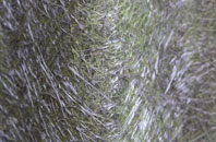 High Legh fibreglass roof work